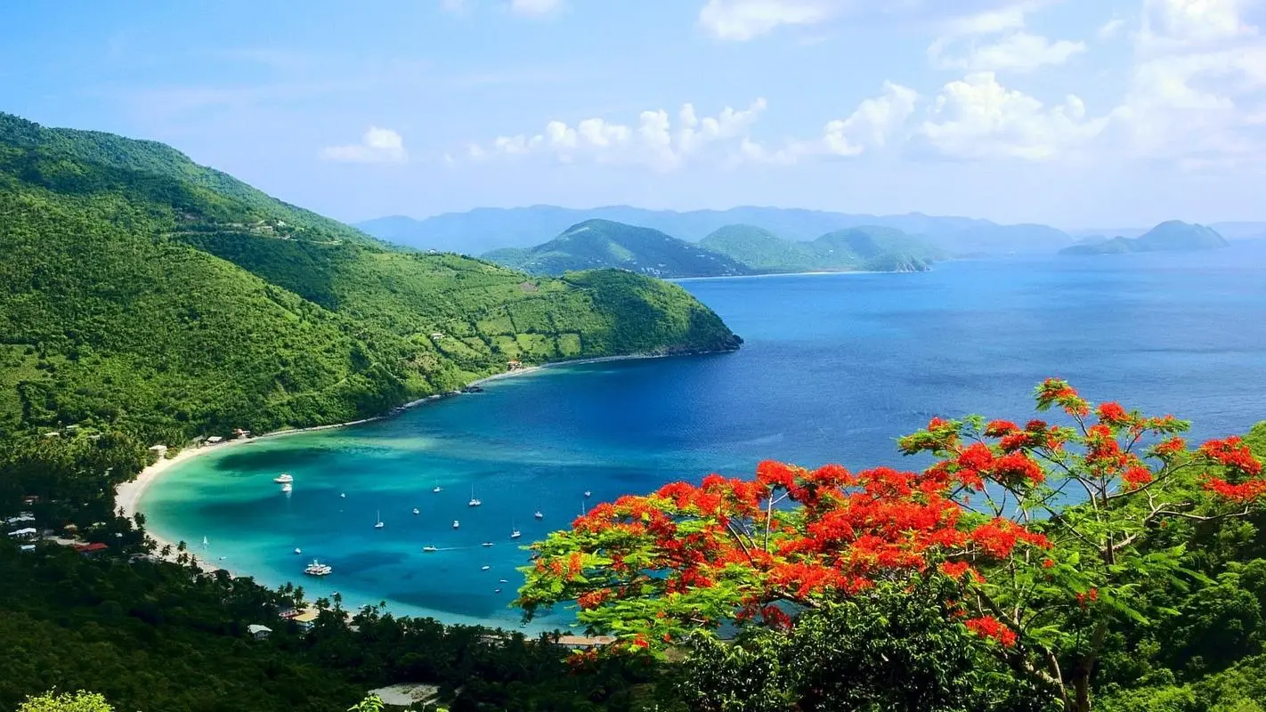 自动化高精度智能化