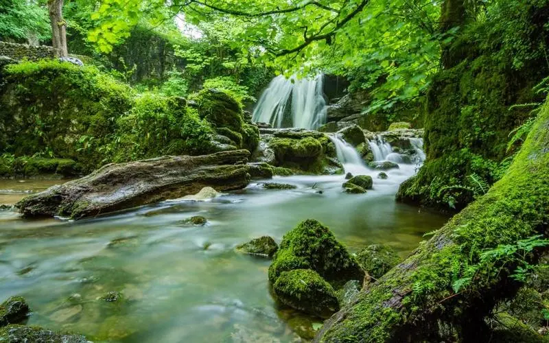 高性能电子智能系统